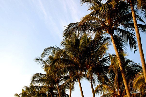 196792_1678852017195_5993504_n