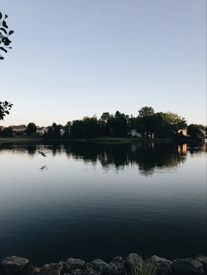 Processed with VSCO with a6 preset